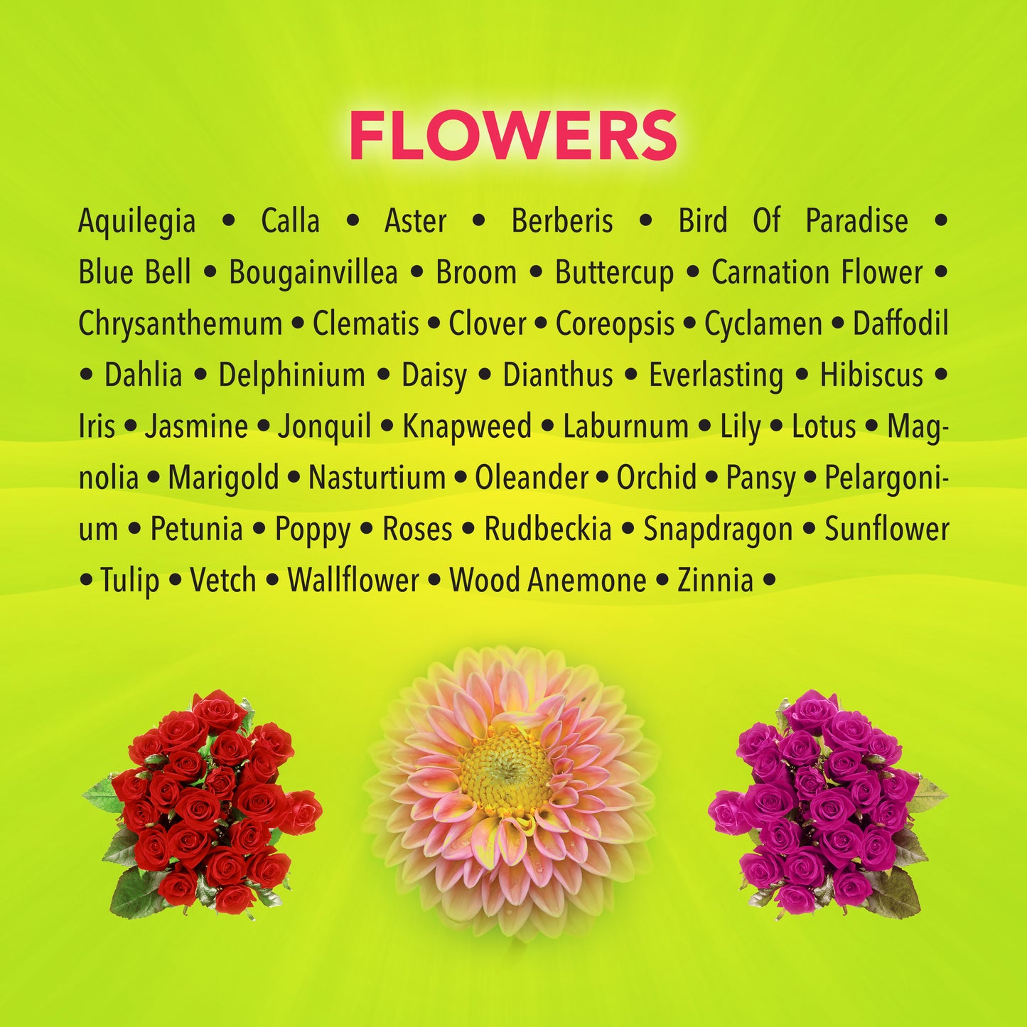 Flowers