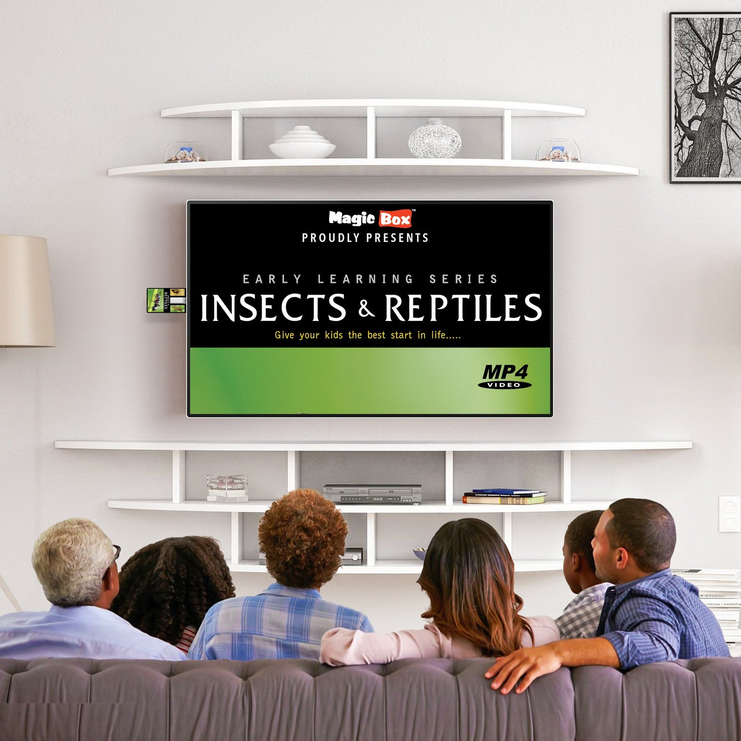 Insects and Reptiles