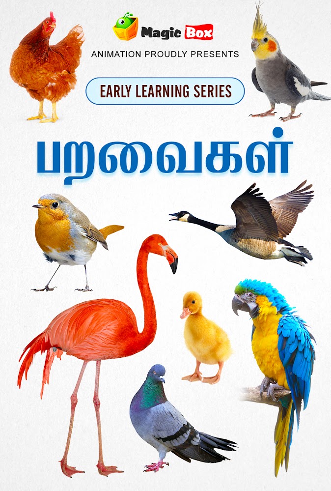 Types of store birds in tamil