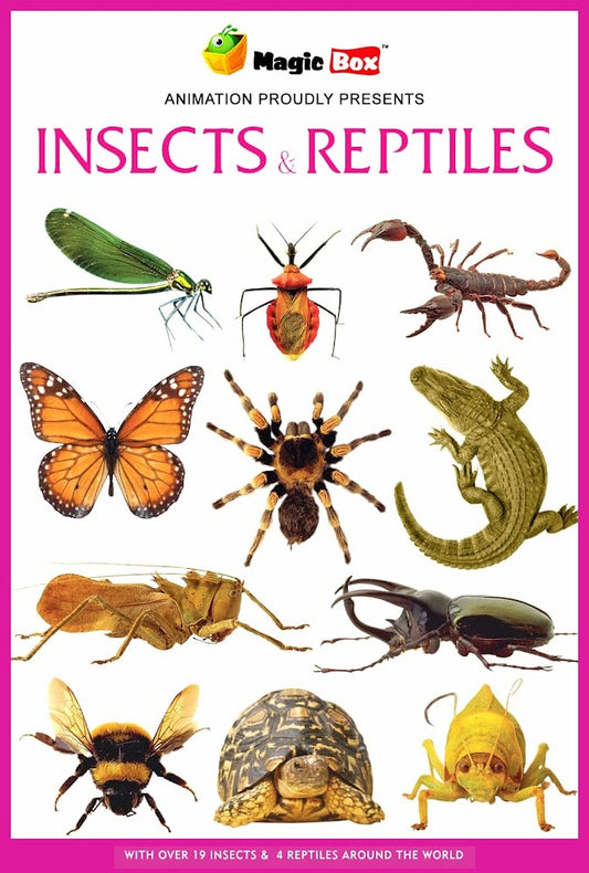 Insects and Reptiles